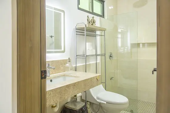 Bathroom, walk-in shower